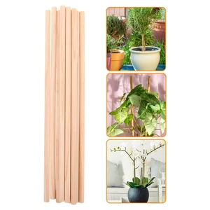  Estacas de soporte para plantas de madera natural para plantas trepadoras flor tomate 10 un. - Imagen 1 de 12