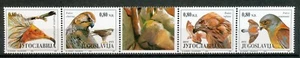 YUGOSLAVIA 1994 - ANIMALES PROTEGIDOS - AVES RAPACES - TIRA MONTADA SIN MONTAR O NUNCA MONTADA 0F 4 Hk625d - Imagen 1 de 1