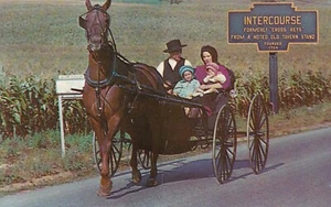 Vintage 1975 Postcard - Intercourse PA - POSTED & USED - WTTR Radio Vacation - Picture 1 of 2