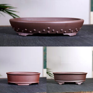 8-12" Large Oval Handmade Bonsai Pot Solid Brown Chinese Purple Sand Ceramic Pot