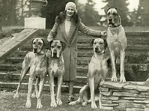 GREAT DANE VINTAGE IMAGE LADY AND DOGS LOVELY DOG GREETINGS NOTE CARD - Foto 1 di 1