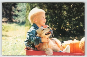 Cartolina Giovane ragazzo e il suo cane in carro con zucche - Foto 1 di 2