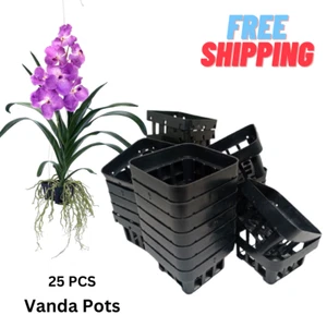 Vanda Pots Square Black Plastic Orchid Flower Growing Mesh Net Baskets 25 Pcs - Picture 1 of 16