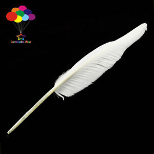 10-100 pcs White 14-16inch Plumes Turkey Pointers Quill Feather Decorations