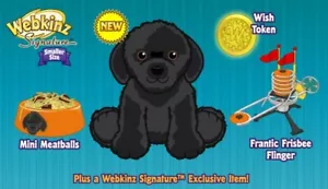 Webkinz Classic Signature Black Lab - Code Only - RARE SIGNATURE HTF - Picture 1 of 3