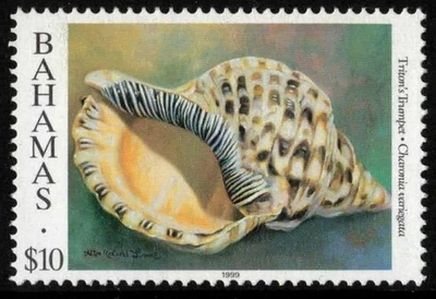 Bahamas Shells. Scott #864c $10.00 Triton's Trumpet. M.N.H. Inscribed 1999 - Image 1 of 2