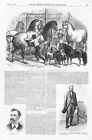 Nyc  -  Imported Normandy Horses And Shetland Ponies For Illinois Farms - 1874