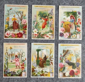 Liebig Serie Blumen Jahreslauf 6 Sammelbilder - Bild 1 von 2