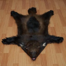 WOLVERINE TAXIDERMY RUG MOUNT WITH HEAD - PELT, FUR, SKIN, HIDE FOR SALE