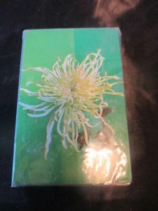 Neu in Verpackung Vintage STERNENSTAUB WEISSE BLUMEN auf grünem Hintergrund Spielkarten - 1970er - Bild 1 von 2