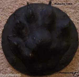 CONCRETE CEMENT Plaster STAMP Wolverine Animal track/print BORDER ART New - Picture 1 of 1