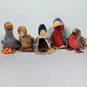 Ty Beanie Babies Lot of 5 Bird/Ducks – EARLY JAKE HONKS JABBER BEAK - Picture 1 of 18