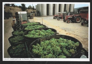 2008  --  CAVE COOPERATIVE A LIMOUX . 1980 . 3U717 - Picture 1 of 1