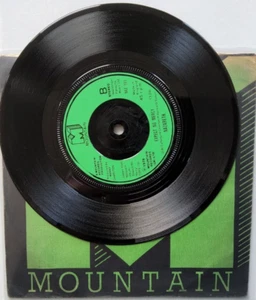 Nazareth – May The Sunshine 1979 single 7" vinyl record in company sleeve rock - Picture 1 of 12