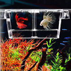 Pet Breeding Tank Large Space Compartment Design Fish Hatching Box Aquarium