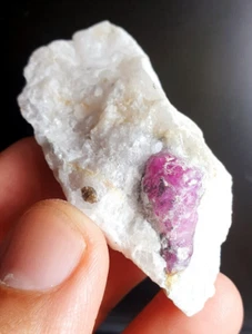 252 Carats Very Nice Quality Ruby Specimen piece from Afghanistan - Picture 1 of 7