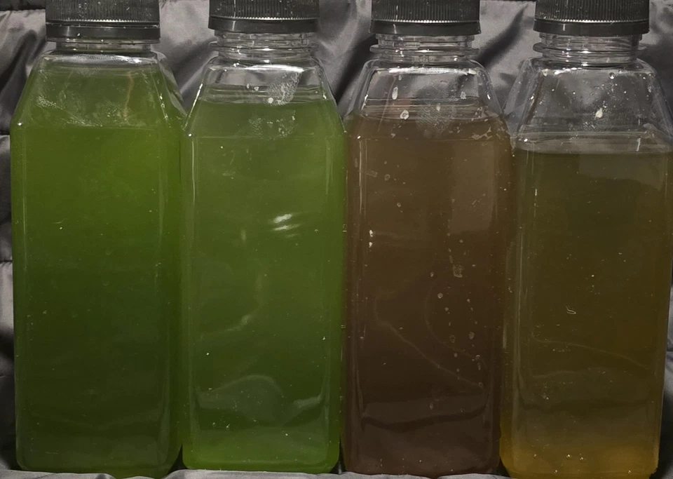 Blue Line Nano Fitoplancton Foto 1 de 1