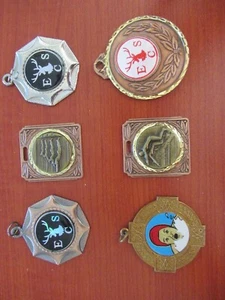 Restposten Vintage Schwimmmedaillen Eastbourne Swimming Club (EB6) - Bild 1 von 1