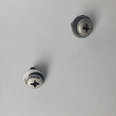 Juego de 2 pares de tornillos para puerta Nissan Pathfinder 1996-2004 OEM Foto 1 de 4