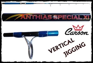 Canna Vertical Jigging Anthias Azione 250g Pesca Mare Barca Inchiku Kabura EH - Foto 1 di 1