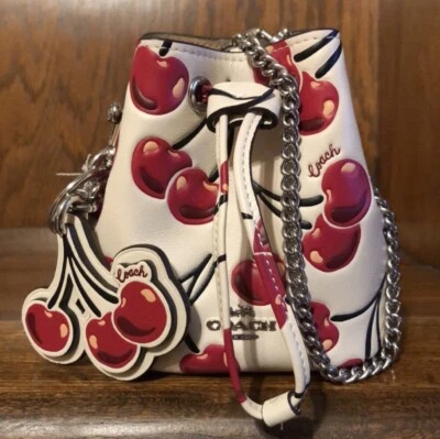 Новый с Ярлыками-Coach-SET-шнурок кошелек с ремешком сумка и брелок/шарм мел белая вишня🍒 $306 - Изображение 1 из 4