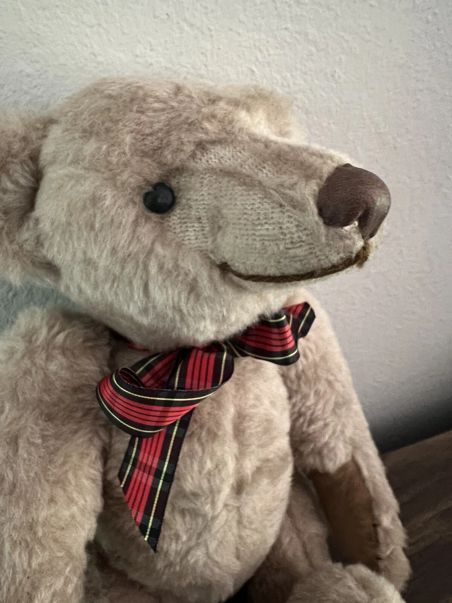 Peluche Care Bears Sea Friend Bear Para Niños - Venta Internacional