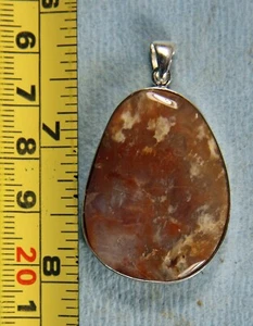 Dinosaur Coprolite Pendant - Sterling - Picture 1 of 6