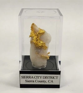 Gold in Quartz, Sierra City District, Sierra County, California, #kg1 - Picture 1 of 4