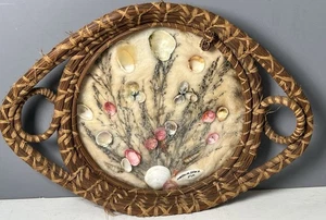 Vintage Seminole Florida Basket Hand Woven “ West Palm Beach “Shells Pine Needle - Picture 1 of 5