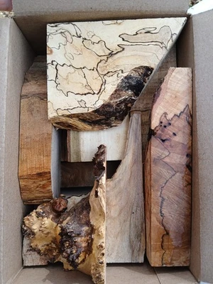 Lot Of MAPLE BURL WOOD figured AMBROSIA Maple EPOXY/CRAFT WOOD Turning wood Burl - Image 1 of 4