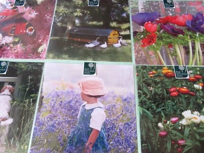 Royal Horticultural Society - Tarjetas de felicitación - interior en blanco para tu propio mensaje Foto 1 de 3