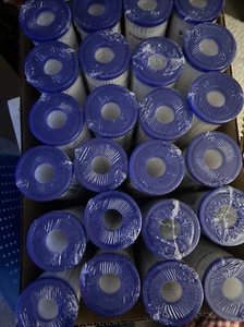 24 Pack Case Pentair Pentek R30 Micron 10x2.5 Pleated Sediment Filter Cartridge - Picture 1 of 4