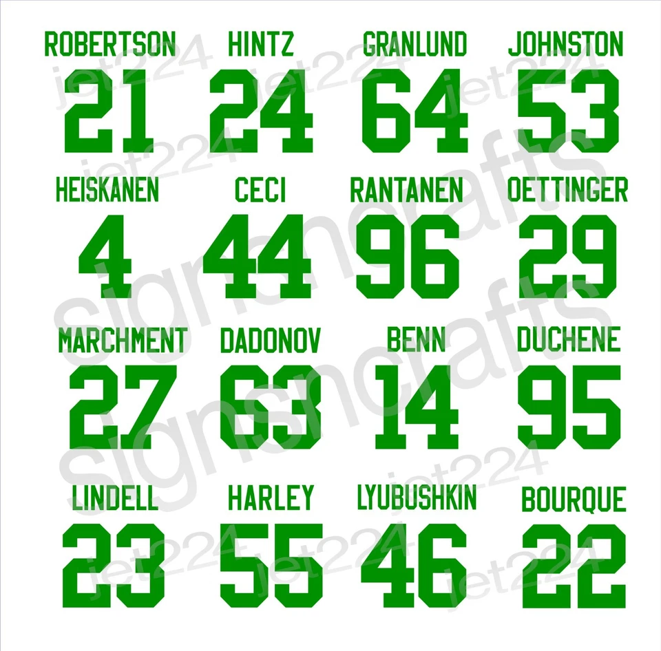 Calcomanía adhesiva Dallas Stars Rantanen Hintz Oettinger Robertson Johnston Granlund Foto 1 de 4