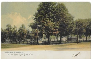 POSTCARD-SAVIN ROCK PARK, CONN-UNUSED - Picture 1 of 2