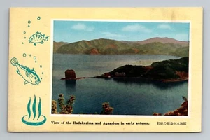 View of the Hadakazima and aquarium in early autumn Japan unposted postcard - Picture 1 of 2