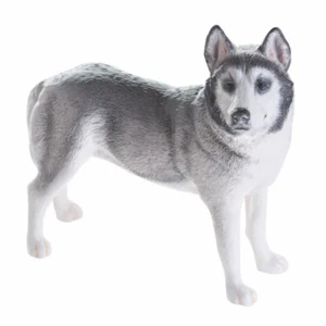 Beswick Husky Dog - Figure NEW in BOX - JBD97 - Picture 1 of 3