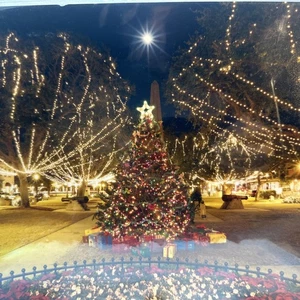 Photography By Destin Bradwell A Collection Of Unique From St Augustine & Beyond - Bild 1 von 6