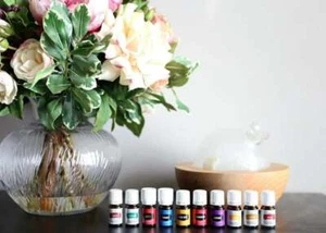 Young  Living Essential Oils ~ 20% Discount Below Distributor + Volume Pricing - Picture 1 of 26