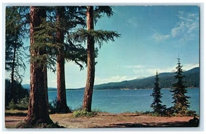 c1950's View Of Seeley Lake Near Missoula Montana MT Unposted Vintage Postcard - Bild 1 von 2