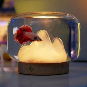 Glasoase: Mini Schreibtisch Aquarium mit Steingarten Dekoration - Bild 1 von 9