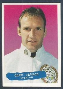 PANINI PFA FOOTBALL 97 #266-EVERTON E INGLATERRA-NORWICH CITY-DAVE WATSON - Imagen 1 de 1