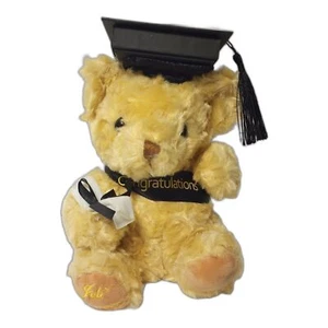 Graduation Teddy Bear Plush In Cap Sitting Stuffed Animal Toys 2022 - Picture 1 of 6