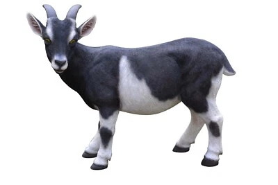 Estatua de jardín de cabra realista blanco y negro jardín patio granja decoración Foto 1 de 4