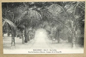 BAS CONGO - SOUS LES COCOTIERS A BANANE - Photo 1/1