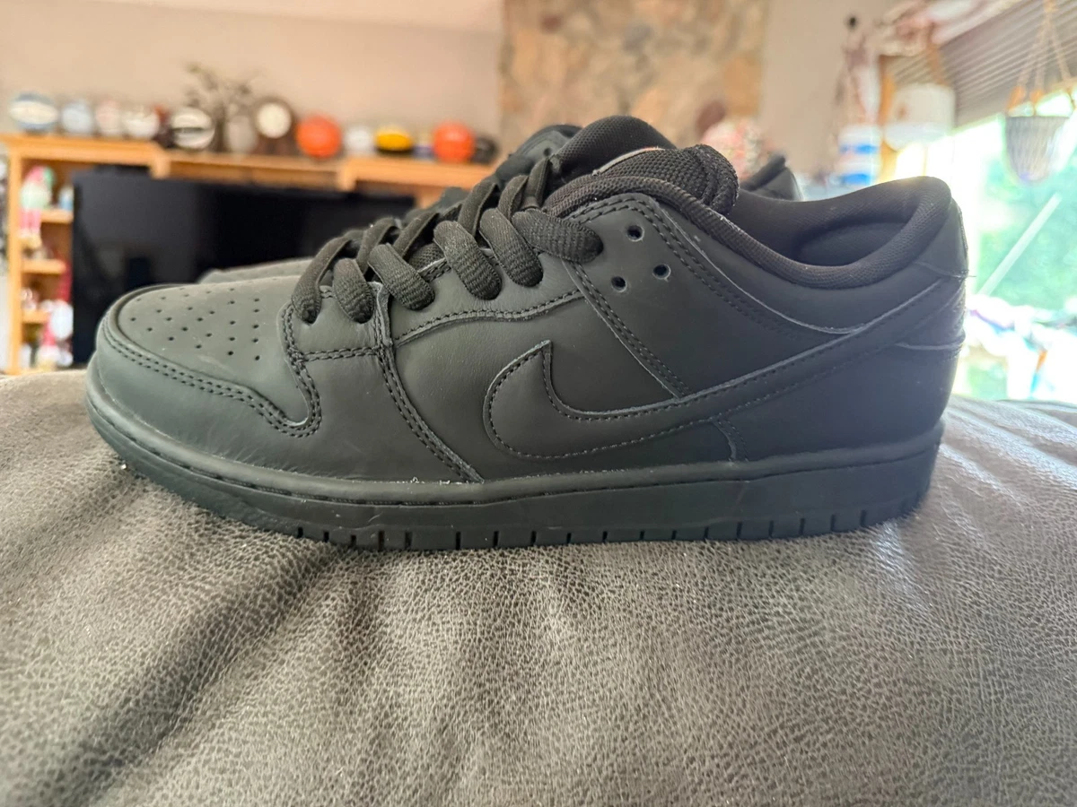 Nike Dunk Pro SB Low Triple Black | eBay