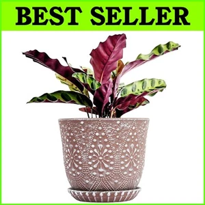 Versatile 8-Inch Ceramic Plant Pot with Saucer - Ideal for Home Decor & Gifting - Picture 1 of 7