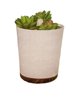 Huntington Home Cool Mist Ultrasonic Diffuser Faux Succulents In Planter 100ml - Picture 1 of 14