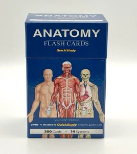 Anatomy Flash Cards QuickStudy 14 Systems 300 Cards W/Box Educational Preowned - Picture 1 of 4