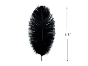 10 Pieces 6-8" Black Ostrich Drab Body Feathers Halloween Mask costume Jewelry - Picture 1 of 11