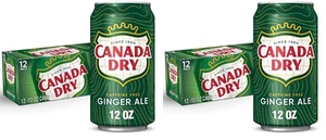 Ginger Ale Soda, 12 Fl. Oz. Cans, 12 Pack (Pack of 2) - Picture 1 of 12
